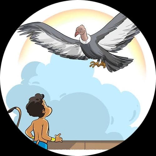 Bordered avatar